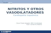 NITRITOS Y OTROS VASODILATADORES Cardiopatía isquémica Óscar Prada Delgado. MIR II Cardiología Tutor: Guillermo Aldama.