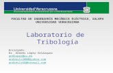 Laboratorio de Tribología Encargado: Dr. Andrés López Velázquez andlopez@uv.mx andreslv2000@yahoo.com andreslv66@hotmail.com FACULTAD DE INGENIERÍA MECÁNICA.