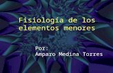 Fisiología de los elementos menores Por: Amparo Medina Torres.