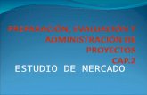 ESTUDIO DE MERCADO. 1.- INTRODUCCIÓN El Estudio de Mercado de un Proyecto es el análisis mas importante y complejo. Mas que describir y proyectar los.