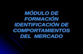 MÓDULO DE FORMACIÓN IDENTIFICACIÓN DE COMPORTAMIENTOS DEL MERCADO.