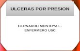 ULCERAS POR PRESION BERNARDO MONTOYA E. ENFERMERO USC.