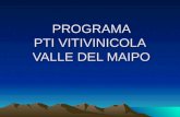 PROGRAMA PTI VITIVINICOLA VALLE DEL MAIPO. PRIMERA PARTE: PRESENTACIÓN.