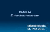 1 Microbiología I M. Paz-2011 FAMILIA FAMILIAEnterobacteriaceae.