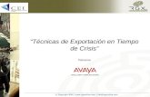 Técnicas de Exportación en Tiempo de Crisis Patrocina.