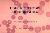 ESFEROCITOSIS HEREDITARIA PRACTICAS DIRIGIDAS II LIC. HECTOR PARADA.