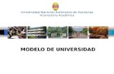Universidad Nacional Autónoma de Honduras Vicerrectoría Académica MODELO DE UNIVERSIDAD.