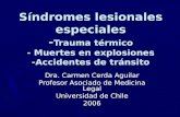 Síndromes lesionales especiales - Trauma térmico - Muertes en explosiones -Accidentes de tránsito Dra. Carmen Cerda Aguilar Profesor Asociado de Medicina.