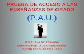 PRUEBA DE ACCESO A LAS ENSEÑANZAS DE GRADO (P.A.U.) IES PLAYA DE ARINAGA DEPARTAMENTO DE ORIENTACIÓN CURSO ESCOLAR 2012 - 2013.