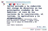 Sector privado y la reducción del riesgo de desastres en las principales ciudades de las Américas: el caso de los sectores de la construcción, el turismo,