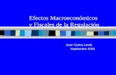 Efectos Macroeconómicos y Fiscales de la Regulación Juan Carlos Lerda Septiembre 2003.