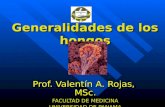 Generalidades de los hongos Prof. Valentín A. Rojas, MSc. FACULTAD DE MEDICINA UNIVERSIDAD DE PANAMA.
