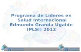 Programa de Líderes en Salud Internacional Edmundo Granda Ugalde (PLSI) 2012.