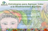 Estrategias para Agregar Valor a la Biodiversidad Agrícola Foro Granos Andinos (Cañahua) Viceministerio de Ciencia y Tecnología Proyecto IFAD NUS La Paz,Bolivia,