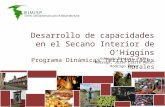 Desarrollo de capacidades en el Secano Interior de OHiggins Programa Dinámicas Territoriales Rurales Eduardo Ramírez, Félix Modrego, Julie Claire Macé,