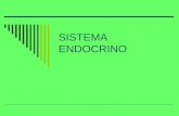SISTEMA ENDOCRINO. El sistema endocrino El sistema endocrino es un sistema de coordinación. Recibe señales, procesa la información recibida y elabora.