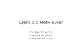 Ejercicio Netviewer Carlos Vicente Servicios de Redes Universidad de Oregon.