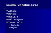Nuevo vocabulario Alto/a Bajo/a Rubio/a Pelirrojo/a Tener pelo: – –Castaño – –Negro.