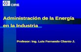 Administración de la Energía en la Industria Profesor: Ing. Luis Fernando Chanto J. CIRE.