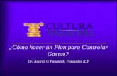 ¿Cómo hacer un Plan para Controlar Gastos? Dr. Andrés G Panasiuk, Fundador ICF.