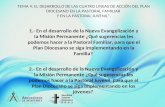 TEMA 4: EL DESARROLLO DE LAS CUATRO LINEAS DE ACCIÓN DEL PLAN DIOCESANO EN LA PASTORAL FAMILIAR Y EN LA PASTORAL JUVENIL. 1.- En el desarrollo de la Nueva.