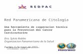 Un abordaje de salud pública a las enfermedades crónicas Red Panamericana de Citologia Una herramienta de cooperacion tecnica para la Prevencion del Cancer.