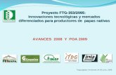 Proyecto FTG-353/2005: Innovaciones tecnológicas y mercados diferenciados para productores de papas nativas AVANCES 2008 Y POA 2009 Tegucigalpa, Honduras.