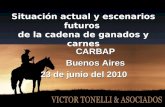 Situación actual y escenarios futuros de la cadena de ganados y carnes CARBAP Buenos Aires 23 de junio del 2010.