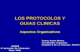 LOS PROTOCOLOS Y GUIAS CLINICAS Aspectos Organizativos Tomás Isasia Muñoz Coordinador Urgencias Hospital U de La Princesa. Madrid AEGRIS IIª Jornadas de.