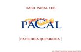 CASO PACAL 1105 PATOLOGIA QUIRURGICA DR. FELIPE GARCIA MALO BAUTISTA.