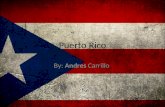 Puerto Rico By: Andres Carrillo. Información Básica Habitantes: 3.947.000 Habitantes: 3.947.000 Superficie de Puerto Rico: 9.104 km² Superficie de Puerto.