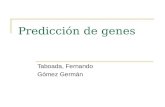 Predicción de genes Taboada, Fernando Gómez Germán.