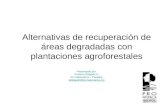Alternativas de recuperación de áreas degradadas con plantaciones agroforestales Presentado por: Gustavo Delgado U. Pro Naturaleza – Pucallpa gdelgado@pronaturaleza.org.