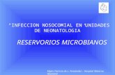 INFECCION NOSOCOMIAL EN UNIDADES DE NEONATOLOGIA RESERVORIOS MICROBIANOS Mgter.Patricia de L. Fernández – Hospital Materno Neonatal.