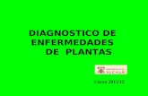 DIAGNOSTICO DE ENFERMEDADES DE PLANTAS Curso 2011/12.
