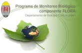 Programa de Monitoreo Biológico componente FLORA Departamento de Biología CURLA UNAH.
