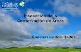 Planeación de la Conservación de Áreas Cadenas de Resultados.
