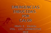 EMERGENCIAS INDUCIDAS POR CALOR PEDRO E. ZULUAGA HTAL. LUIS LAGOMAGGIORE 2010.