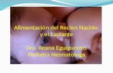 Alimentación del Recien Nacido y el Lactante Dra. Ileana Eguigurems Pediatra Neonatologa.