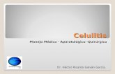 Celulitis Manejo Médico - Aparatológico -Quirúrgico Dr. Héctor Ricardo Galván García.
