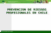 PREVENCION DE RIESGOS PROFESIONALES EN CHILE. TEMARIO 1.-Introducción 2.-Caracterización de la Siniestralidad Actual 3.-Tendencias.