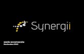 SESIÓN DE EXPOSICIÓN Noviembre 2012. 3 preguntas clave 1.¿Cómo Synergii puede ayudarte a conseguir tu libertad financiera? 2.¿Por qué Synergii es tu proyecto.