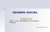1 SEGURO SOCIAL EXPOSITOR: CPC. Y MI. REINERIO ESCOBAR PEREZ SEPTIEMBRE 2011.