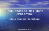 Lgarrido@derecho.uba.ar1 Problemática del daño Ambiental Lidia Garrido Cordobera.