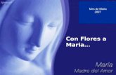 Mes de Maria 2007 Con Flores a Maria… Debemos aspirar a ser un reflejo de Maria en la vida diaria. P.J.K. Tan solo me pregunto: Que harías tu Maria en.