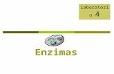 Enzimas Laboratorio 4. Objetivos Definir qué es una enzima y cómo estas actúan en reacciones dentro de la célula. Identificar diferentes factores que.