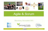 Agile and Scrum seminar (english)