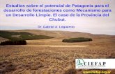 Estudios sobre el potencial de Patagonia para el desarrollo de forestaciones como Mecanismo para un Desarrollo Limpio. El caso de la Provincia del Chubut.