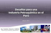Gustavo Navarro. Desarrollo Petroquímico en el Perú