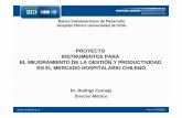 Proyecto instrumentos para el mejoramiento de la gestión y productividad en el mercado hospitalario chileno